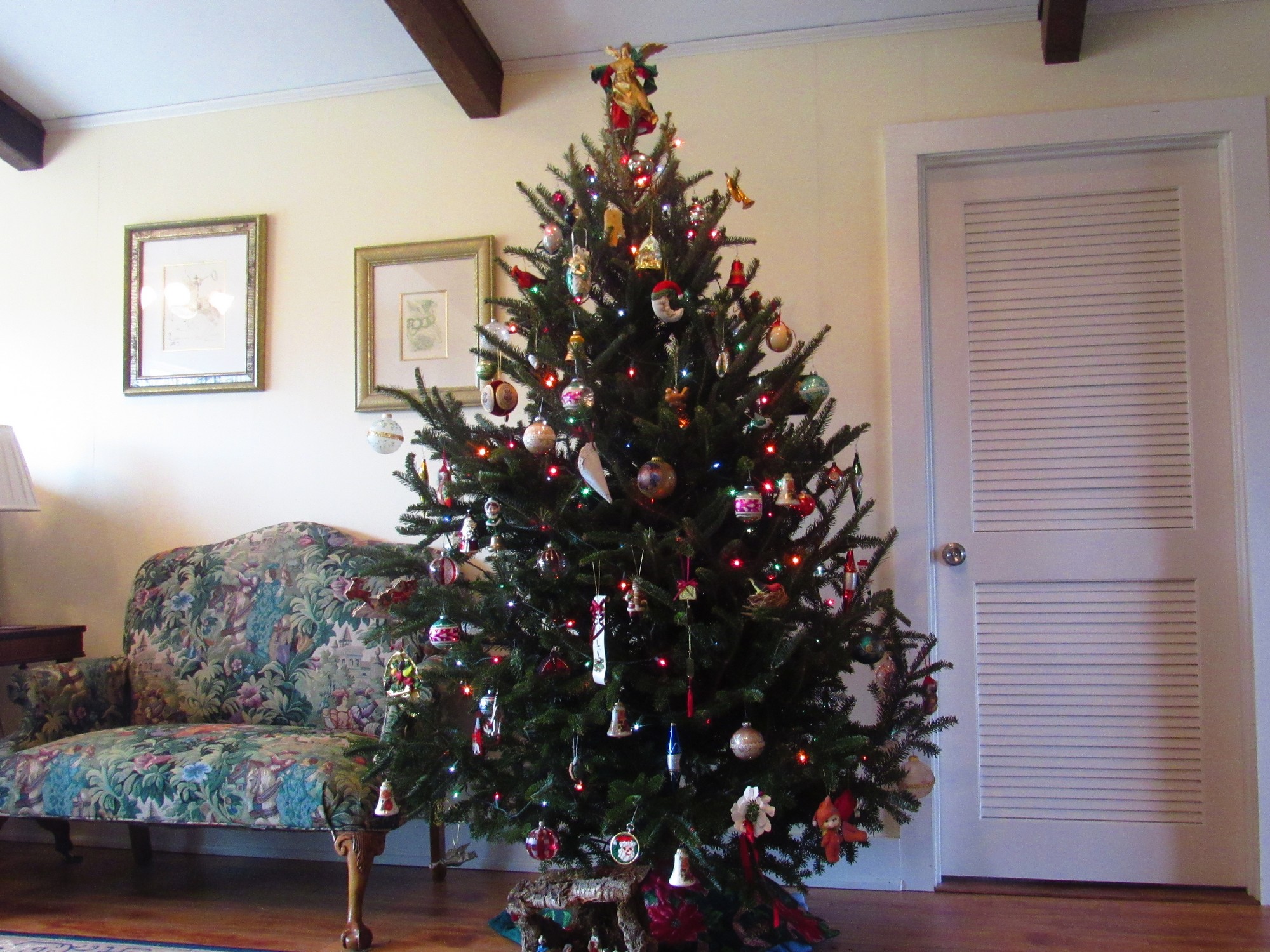 2016 Christmas tree.jpg