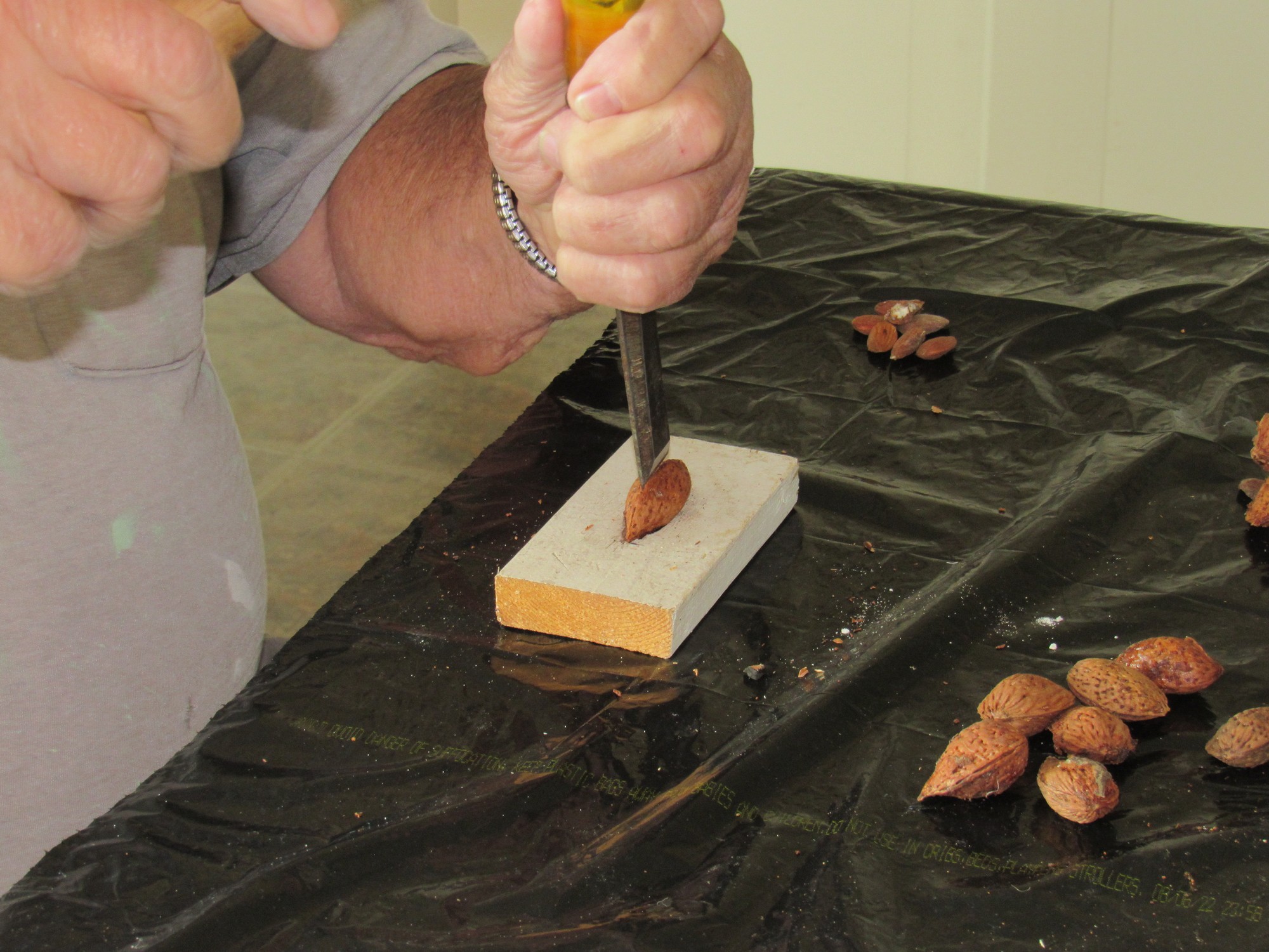 Almond Cracking 2.jpg