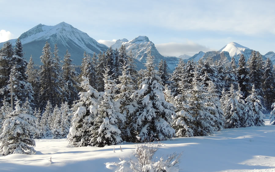 Banff winter.jpg