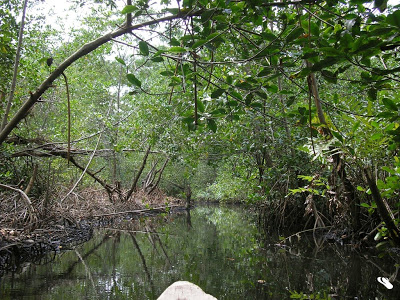 cuyutlan lagoon.jpg