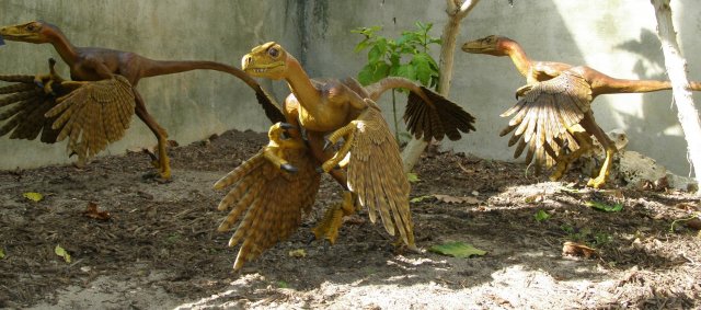 dinosaur birds.jpg