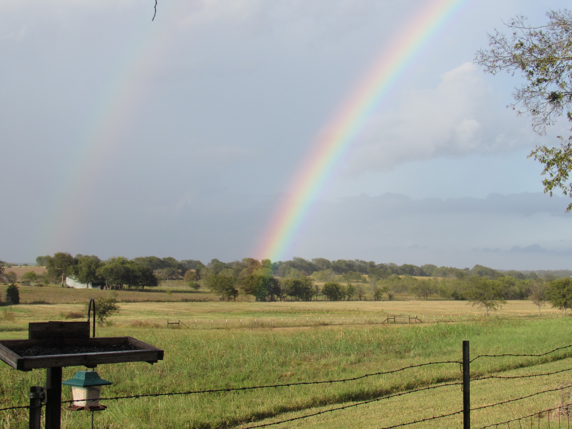 double rainbow.jpg