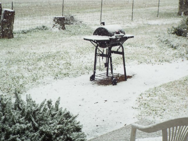 Feb. '15 snow.jpg