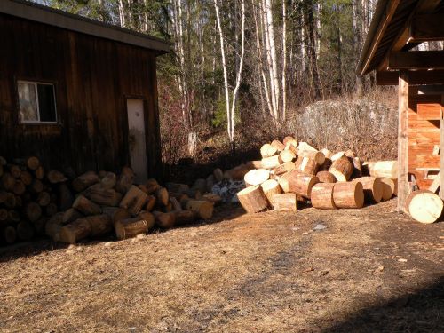 firewood.jpg