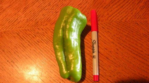 first aruba pepper.JPG