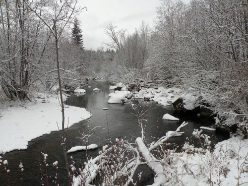 First big snow at the creek.jpg