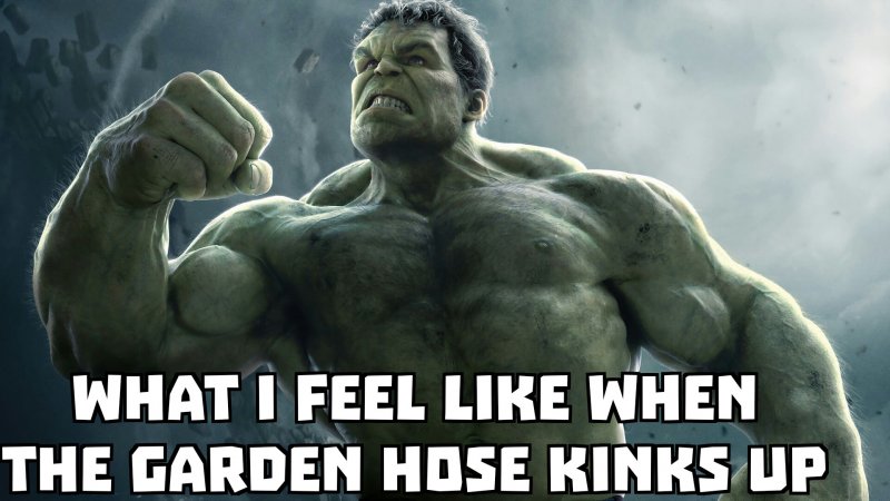 Hulk3.jpg