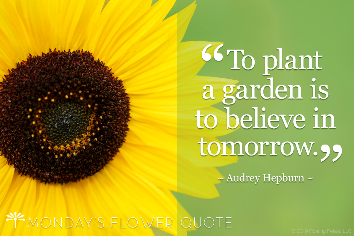 mfq-237.-to-plant-a-garden-is-to-believe.jpg