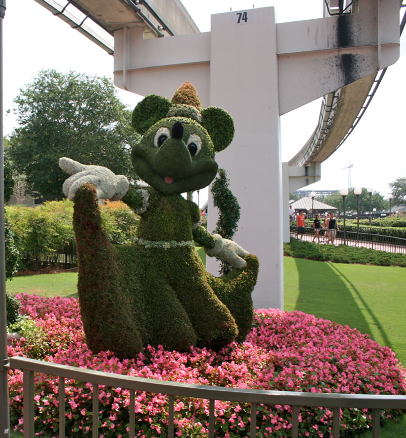 mickey-green.jpg