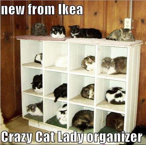 new-from-ikea-crazy-cat-lady-organizer-quote-1.jpg