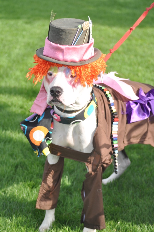 PET PARADE 2010 202.JPG