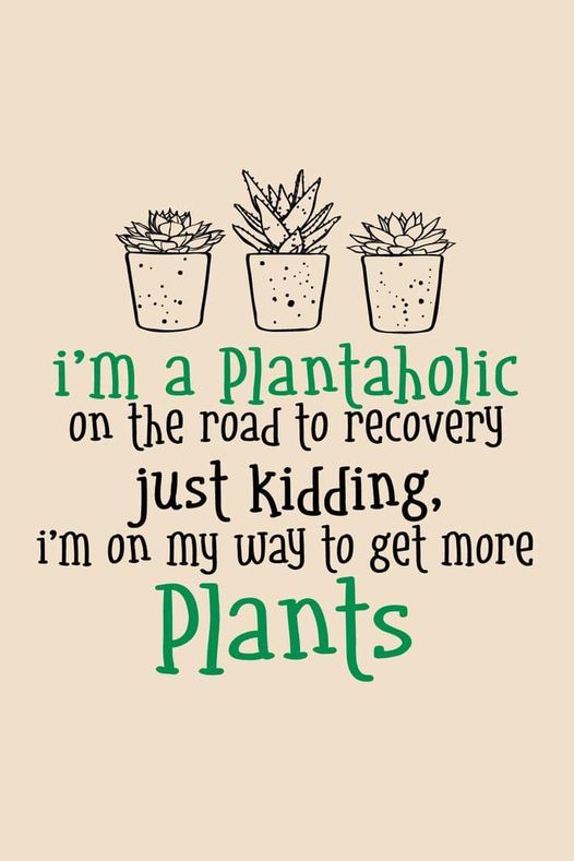 plantaholic.jpg