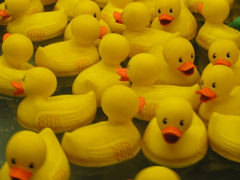 rubber-duck-wallpaper-9.jpg