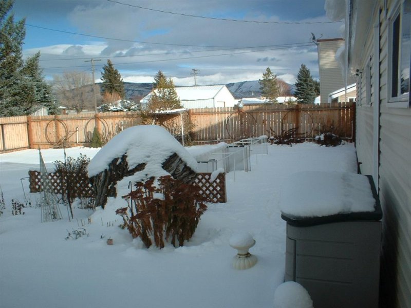 snow 001 (Medium).JPG