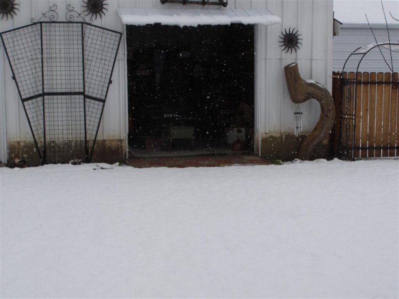 snow 001 (Medium).JPG