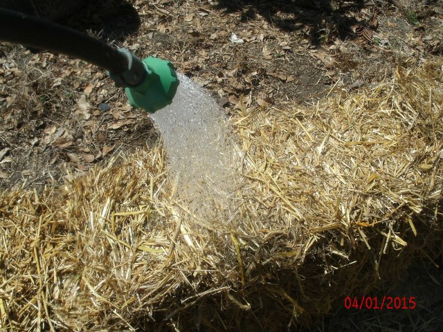 strawbalecondition.jpg