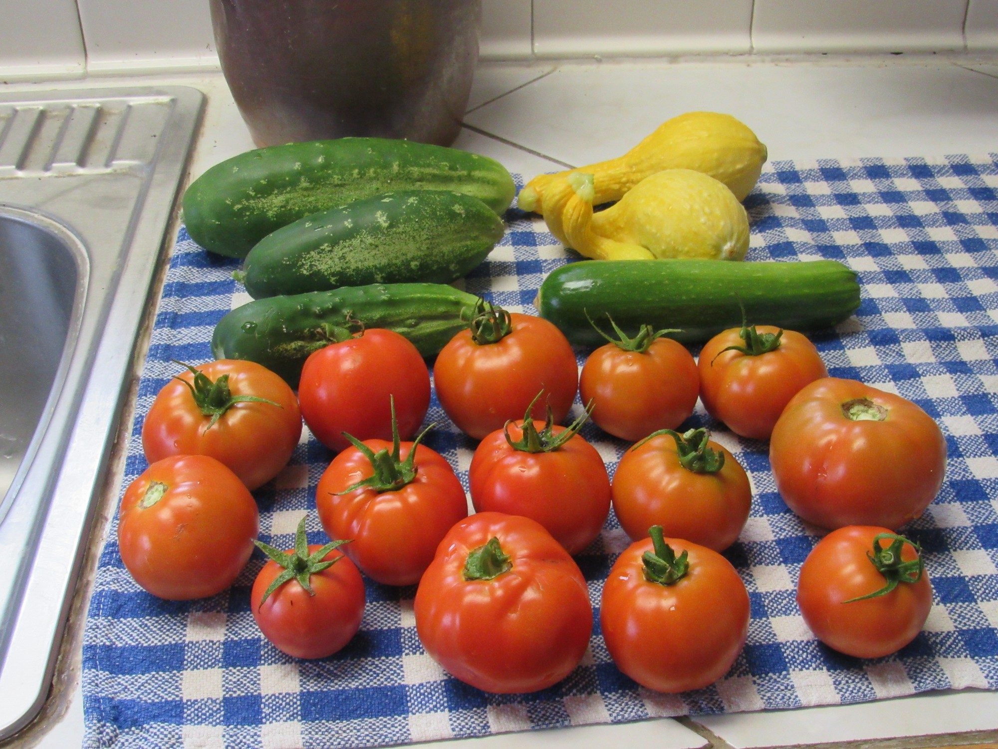 Today's pickings.jpg