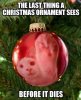 Christmas-Ornament-Cat.jpg