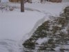 snow 003 (Small).JPG