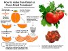 How-to-sun-dry-or-oven-dry-tomatoes.jpg