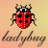 ladybuglady